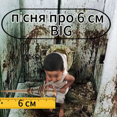 6 см