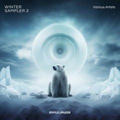TalkingTo the Moon (Extended Mix)