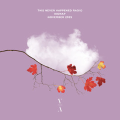 TNH Radio on SiriusXM Chill - Kidnap, Nov 2025 (Guest Mix)