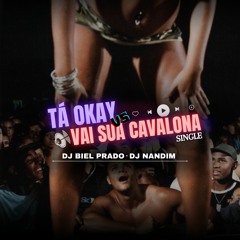 TÁ OK VS VAI SUA CAVALONA - DJ BIEL PRADO E DJ NANDIM
