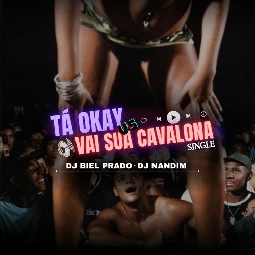 TÁ OK VS VAI SUA CAVALONA - DJ BIEL PRADO E DJ NANDIM