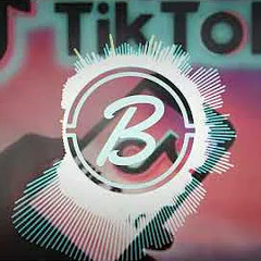 (TIK TOK) Sophia - Niemals Allein (Bitshakerz Downtempo Remix)