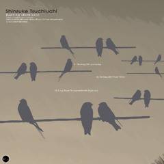 Shinsuke Tsuchiuchi - Bunting (remixes)  |  SR083