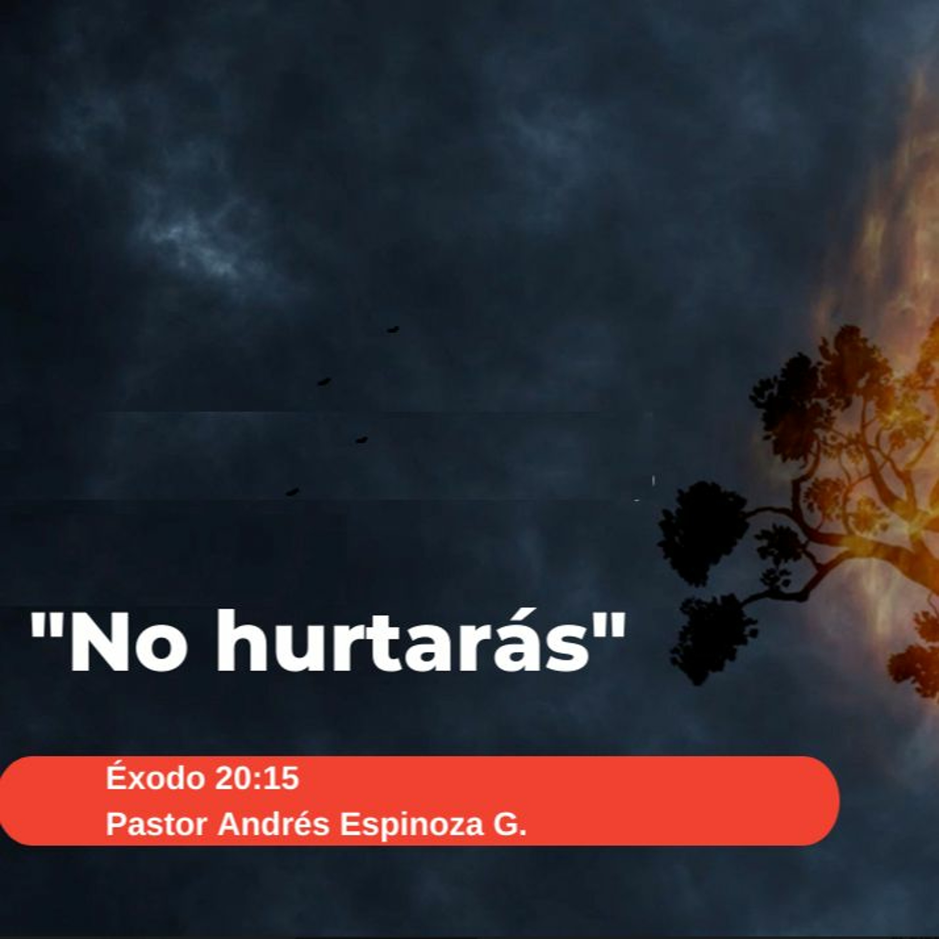No Hurtarás episode artwork