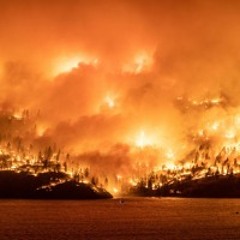 Burning Home
