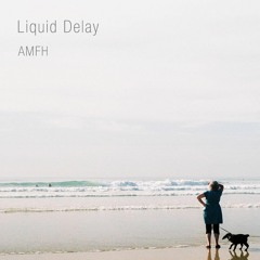 Liquid Delay - FH78i