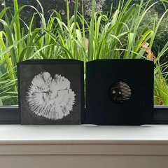 B3 Stendhal Syndrome - Shine Grooves