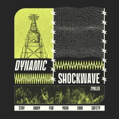 Dynamic Shockwave - ZYKLED