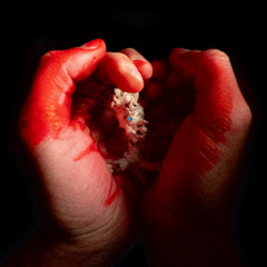 KUTHI JIN • TESTA E CUORE