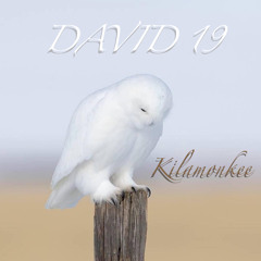 DAVID 19