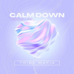 Calm Down Ft. Nicki Minaj x J. Cole