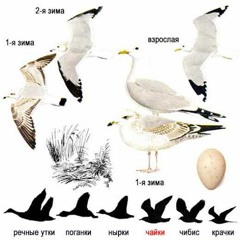 Падонок 15 Улицы - Шел Бы Ты Отсюда