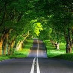تلاوة  رائعة بصوت القارئ هزاع البلوشي