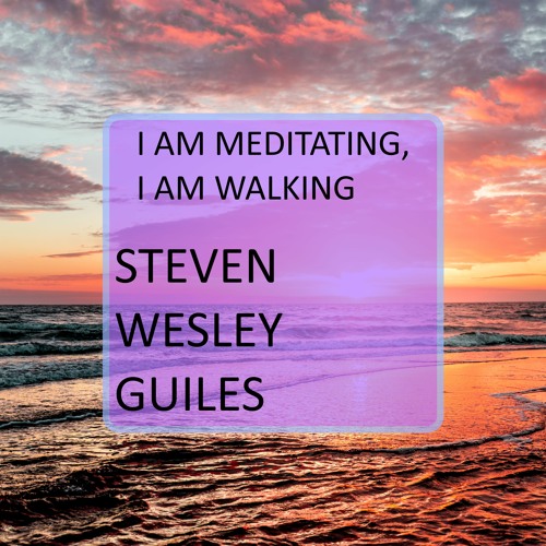 I Am Meditating, I Am Walking