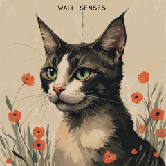Wall Senses - REMASTERED - HD