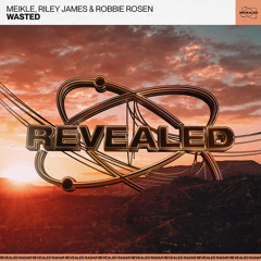Wasted (Extended Mix)