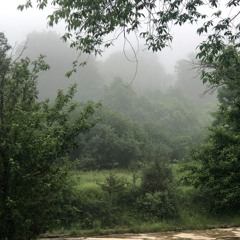 On a Misty Morning (ft. Neal Goates)