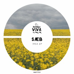 PREMIERE: Sæb & Mo - Far From Here (Original Mix) [NATURA VIVA]