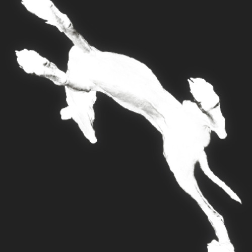 greyhound_97.50bpm_Am