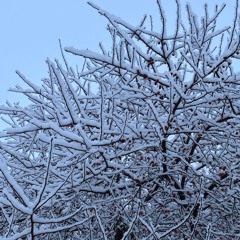 So Gone (prod. seye)