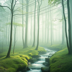 Trail of the Ipês - Projeto Naves