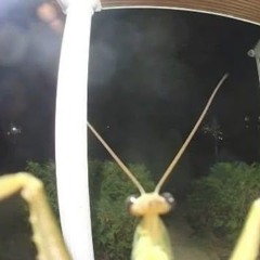 Nab's jams 🍣(Persona playlist)