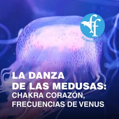 Música Mantrista – La Danza de las Medusas (Chakra Corazón)