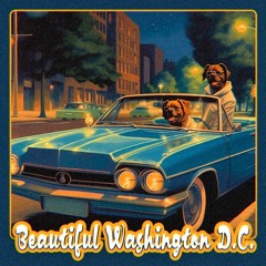 Beautiful Washington D.C. | Boom Bap Beats : Early 90s style