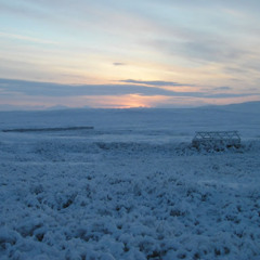 Frozen Tundra