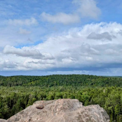 Waiting for the light