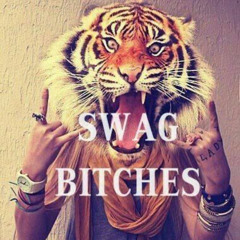 #SWAGBITCHES + @фотограф (prod. greyrock + foreless)