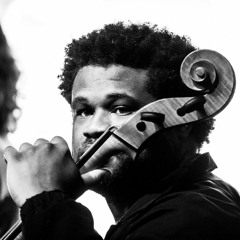 The Roulette Tapes - Lester St. Louis: The Naked Cello