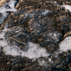 CF Premiere: B E N N  - 虫裂  Swarm of Collapse [Precious Metals]