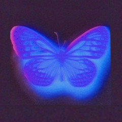 Butterfly.mp3