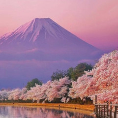 climb fuji 80 bpm v2