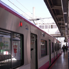 Logical Shin-keisei