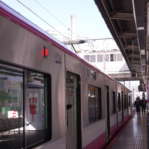 Logical Shin-keisei