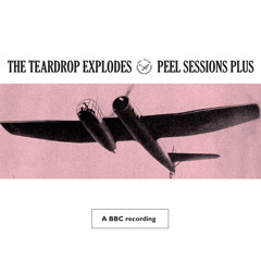 The Poppies In The Field (BBC Session Peel Plus 1980)