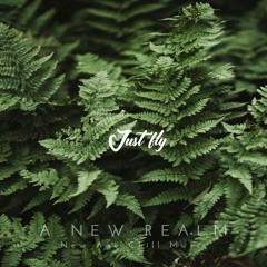 Just fly | Chill | New Age Chill Music