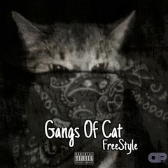 Gangs Of Cat {FreeStyle} - DpAli
