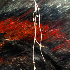 Ugly Animal - Straight Up (Double Back)