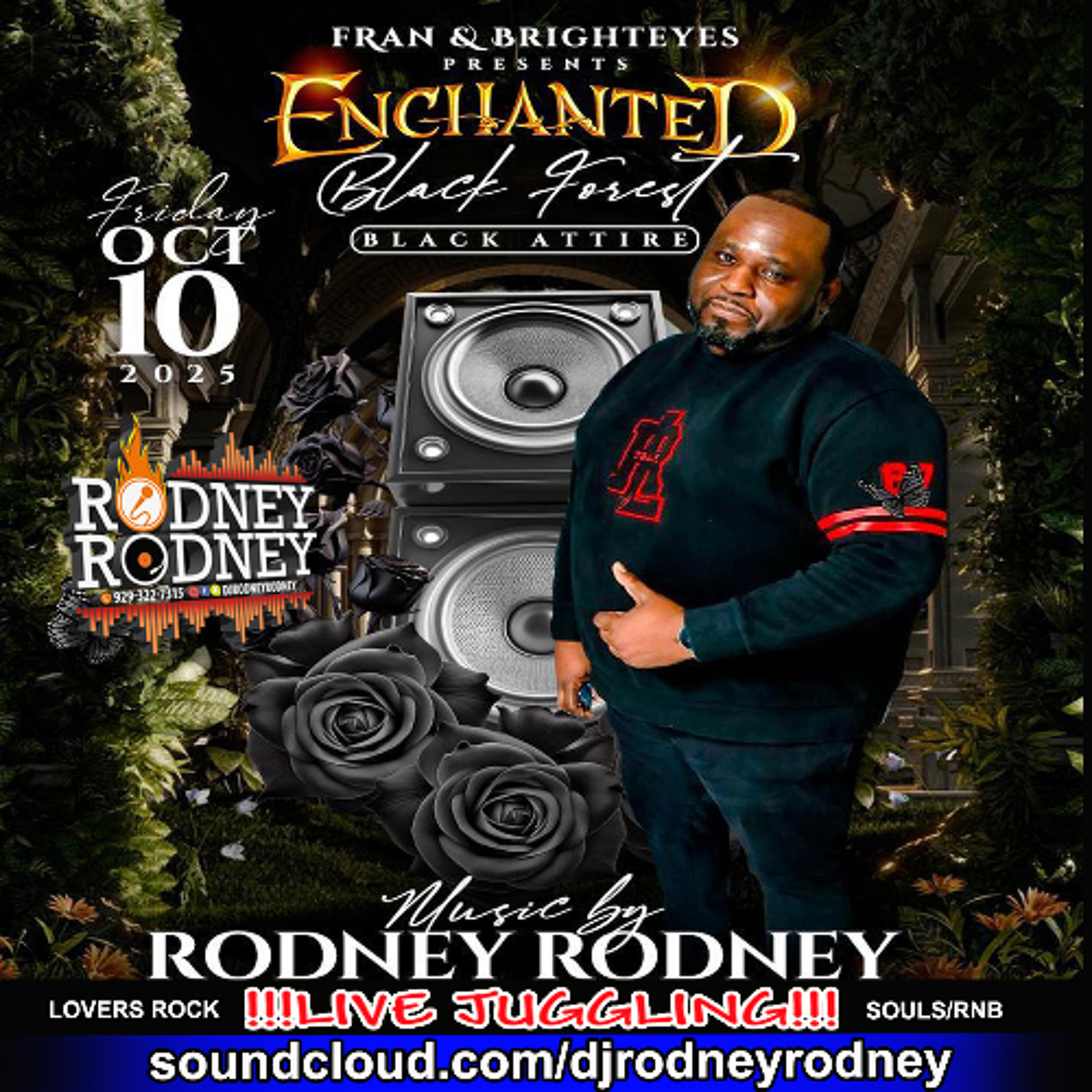RODNEYRODNEY LIVE JUGGLING ENCHANTED BLACK FOREST,LOVERS ROCK & SOULS ONLY episode artwork