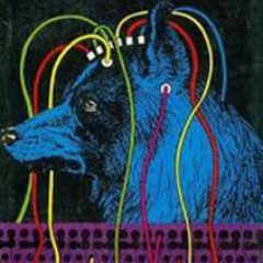 XVI RELIGION - Sirius