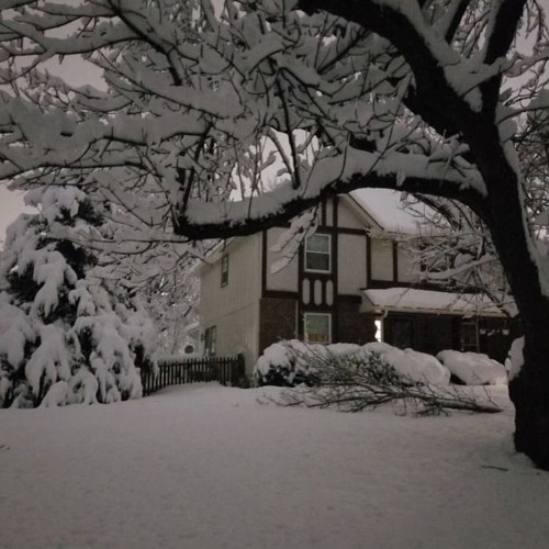 dream - salvia palth (sped up)