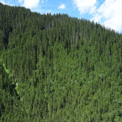 Speechless - Robin Schulz & Erika Sirola - piano