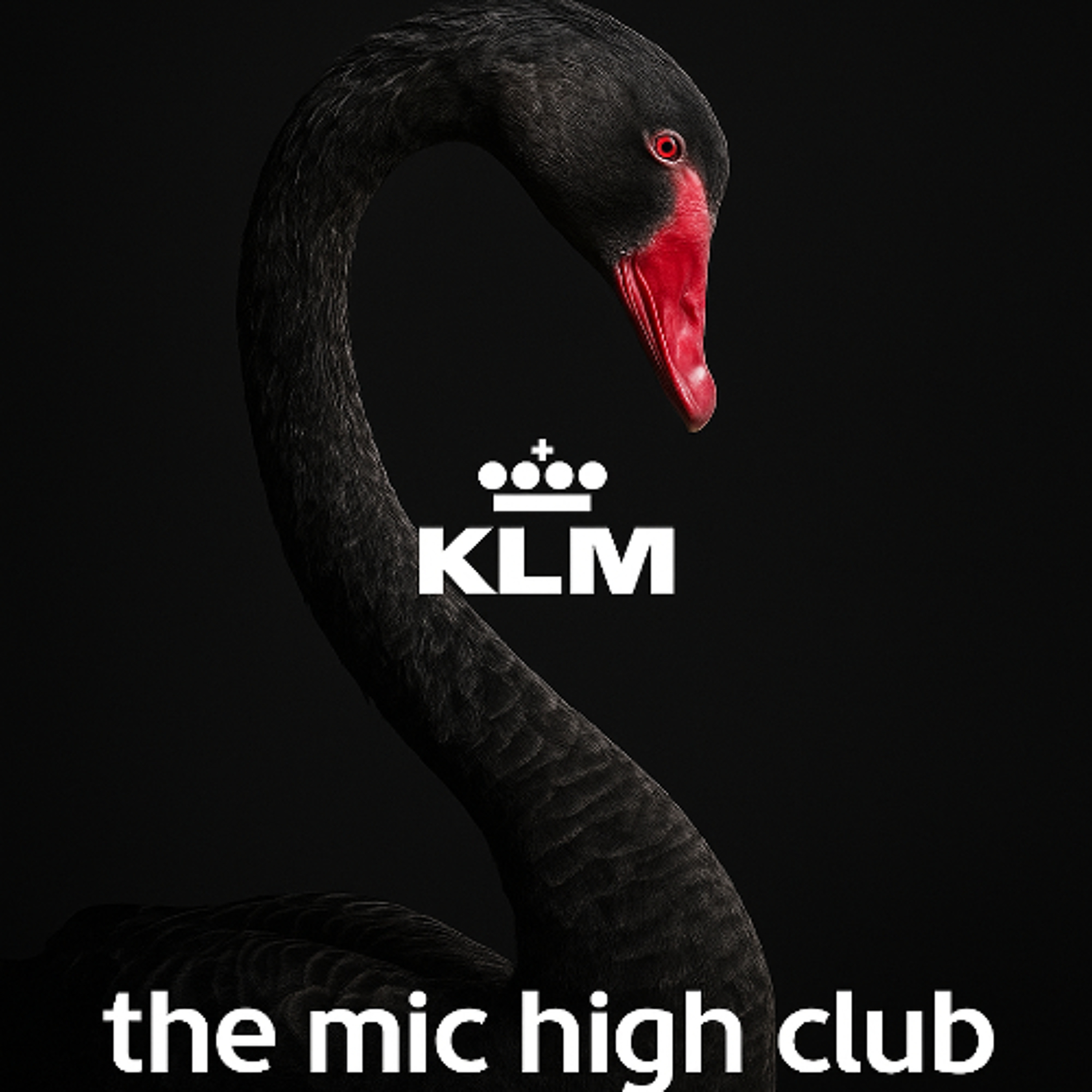 #348 Zwarte Zwaan KLM in paniek!