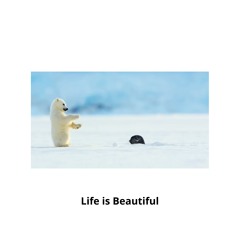 Life is Beautiful - Coco Belly