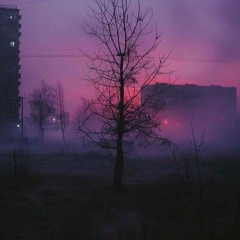 There Is No Place Where I Feel At Home