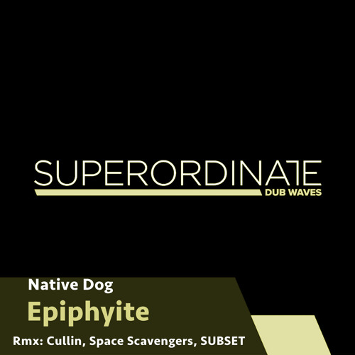 Epiphyite (Space Scavengers Rmx) [Superordinate Dub Waves]