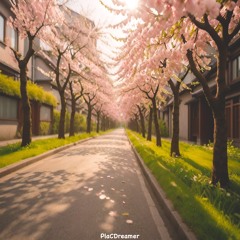 Spring Bloom
